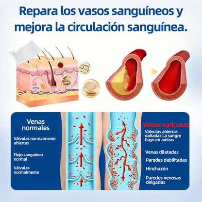 𝗛𝗲𝗮𝗹𝗿𝗶𝘇𝗲® 𝗣𝗮𝗿𝗰𝗵𝗲 𝗠𝗶𝗰𝗿𝗼𝗻𝗲𝗲𝗱𝗹𝗲 𝗩𝗲𝗶𝗻𝗧𝗮𝗿𝗴𝗲𝘁 𝗔𝗹𝗶𝘃𝗶𝗼 𝗜𝗻𝘀𝘁𝗮𝗻𝘁𝗮́𝗻𝗲𝗼, 𝗥𝗲𝘀𝘂𝗹𝘁𝗮𝗱𝗼𝘀 𝗮 𝗟𝗮𝗿𝗴𝗼 𝗣𝗹𝗮𝘇𝗼🌾🌻🇪🇸